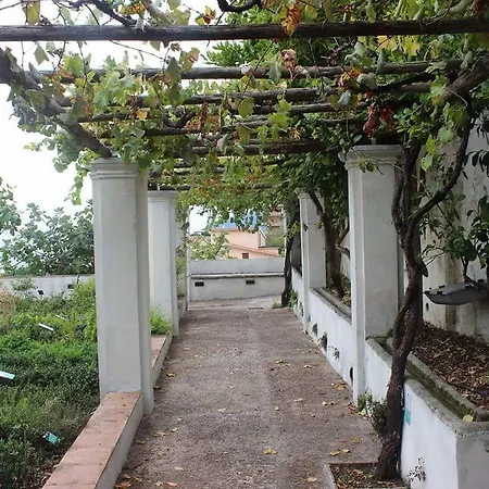 Bed & Breakfast Home47 Salerno